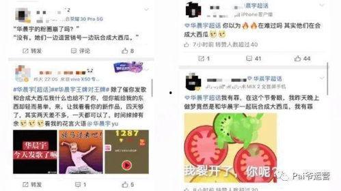 热门大瓜在线,热门大瓜事件全解析