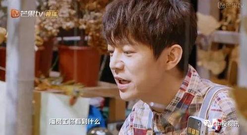 热门大瓜 明星大侦探,揭秘娱乐圈神秘大瓜，真相大白！