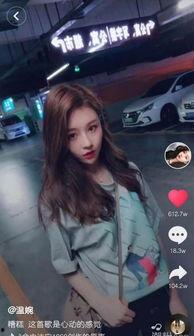 网红黑料视频,视频背后的真相与反思